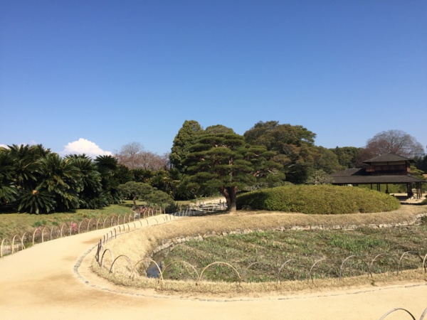 f:id:airgyan:20160409230619j:image f:id:airgyan:20160409230619j:image