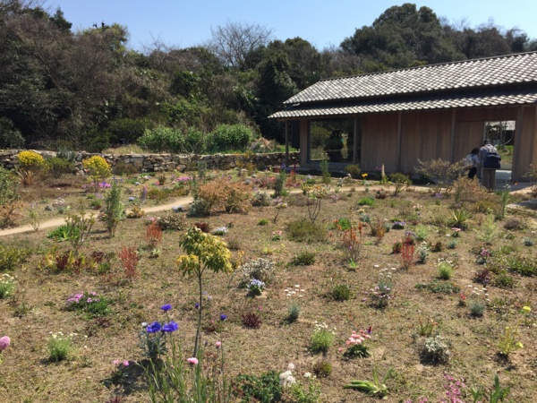 f:id:airgyan:20160410003316j:image