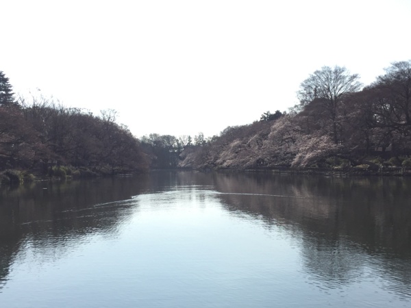 f:id:airgyan:20160410003446j:image f:id:airgyan:20160410003446j:image