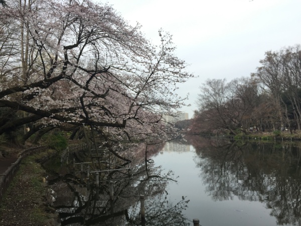 f:id:airgyan:20160410003448j:image f:id:airgyan:20160410003448j:image