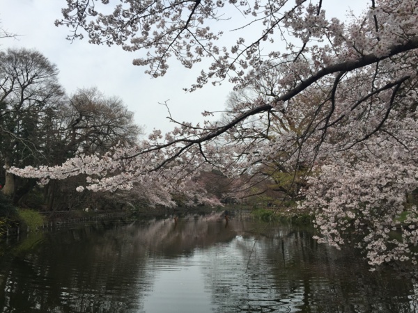 f:id:airgyan:20160410003449j:image f:id:airgyan:20160410003449j:image