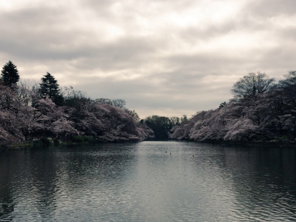 f:id:airgyan:20160410003452j:image f:id:airgyan:20160410003452j:image