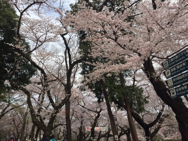 f:id:airgyan:20160410003453j:image f:id:airgyan:20160410003453j:image