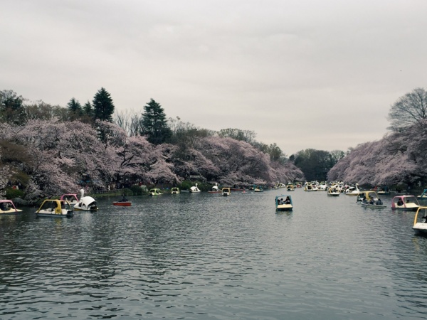 f:id:airgyan:20160410003456j:image f:id:airgyan:20160410003456j:image