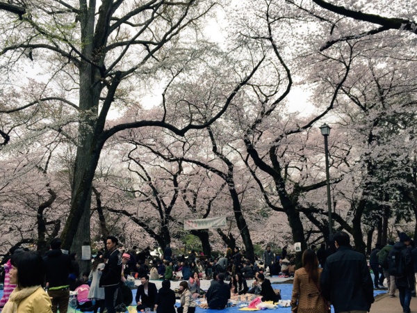 f:id:airgyan:20160410003457j:image f:id:airgyan:20160410003457j:image