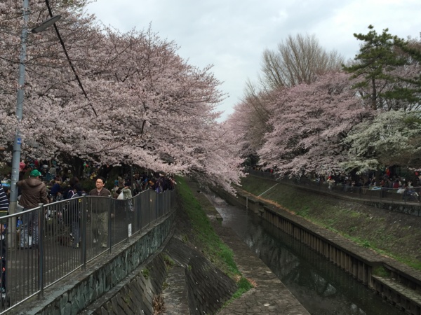 f:id:airgyan:20160410003503j:image f:id:airgyan:20160410003503j:image