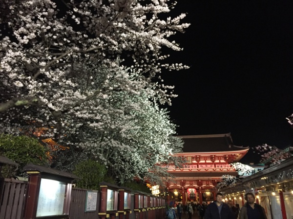 f:id:airgyan:20160410003504j:image f:id:airgyan:20160410003504j:image