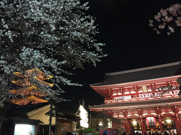 f:id:airgyan:20160410003505j:image f:id:airgyan:20160410003505j:image