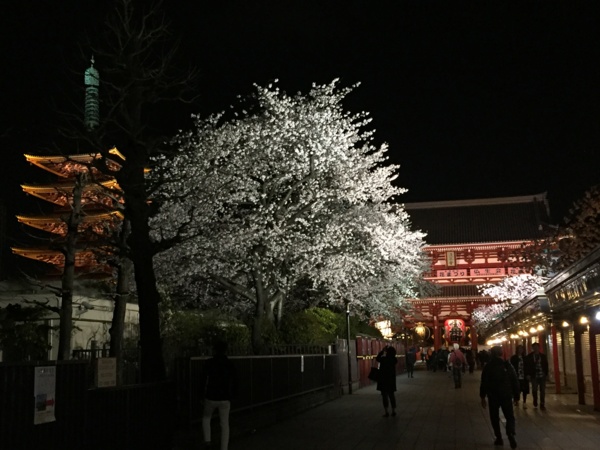 f:id:airgyan:20160410003506j:image f:id:airgyan:20160410003506j:image