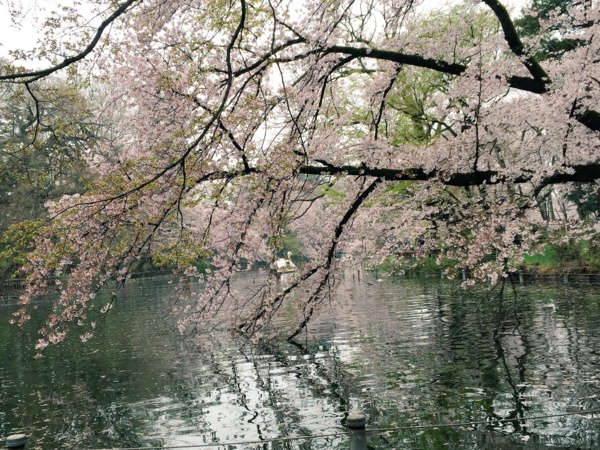 f:id:airgyan:20160410003507j:image f:id:airgyan:20160410003507j:image