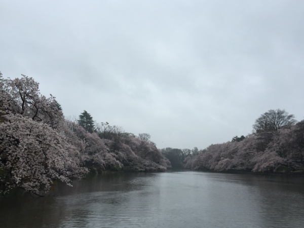 f:id:airgyan:20160410003510j:image f:id:airgyan:20160410003510j:image