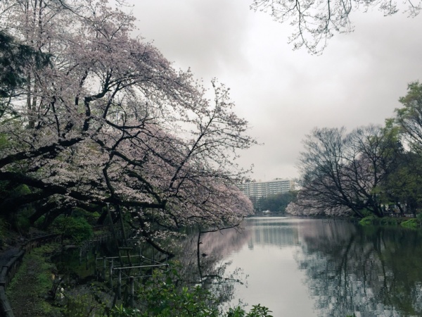 f:id:airgyan:20160410003514j:image f:id:airgyan:20160410003514j:image