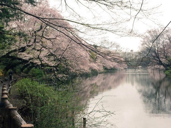 f:id:airgyan:20160410003515j:image f:id:airgyan:20160410003515j:image