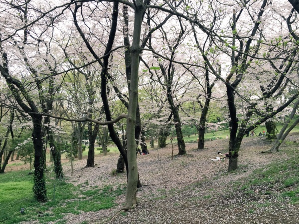 f:id:airgyan:20160410003517j:image f:id:airgyan:20160410003517j:image