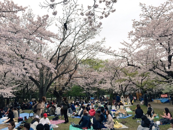 f:id:airgyan:20160410003518j:image f:id:airgyan:20160410003518j:image