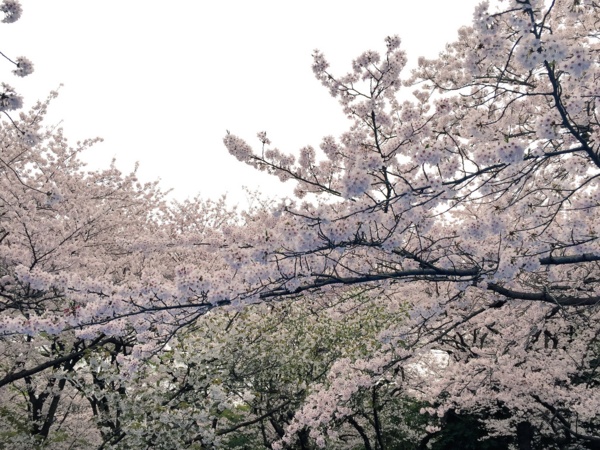 f:id:airgyan:20160410003519j:image f:id:airgyan:20160410003519j:image