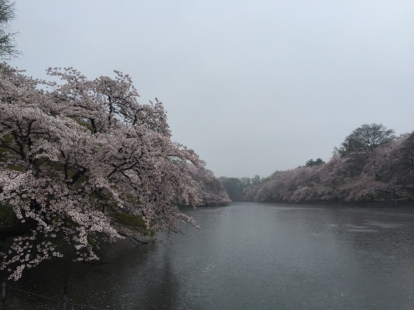 f:id:airgyan:20160410003526j:image f:id:airgyan:20160410003526j:image