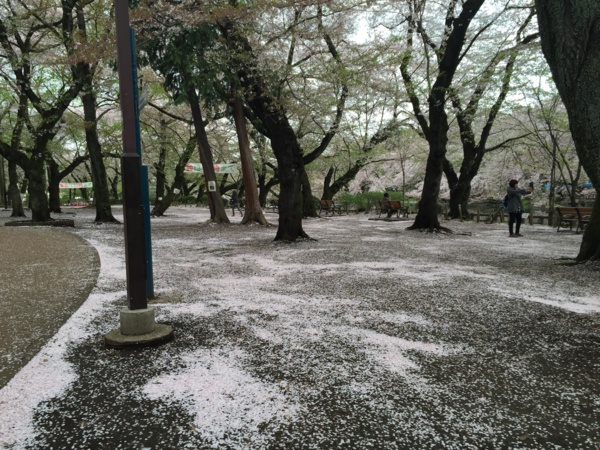 f:id:airgyan:20160410003527j:image f:id:airgyan:20160410003527j:image