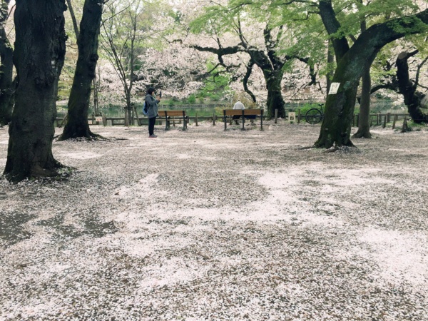 f:id:airgyan:20160410003528j:image f:id:airgyan:20160410003528j:image