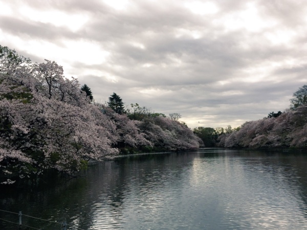 f:id:airgyan:20160410003529j:image f:id:airgyan:20160410003529j:image