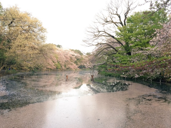 f:id:airgyan:20160410003530j:image f:id:airgyan:20160410003530j:image