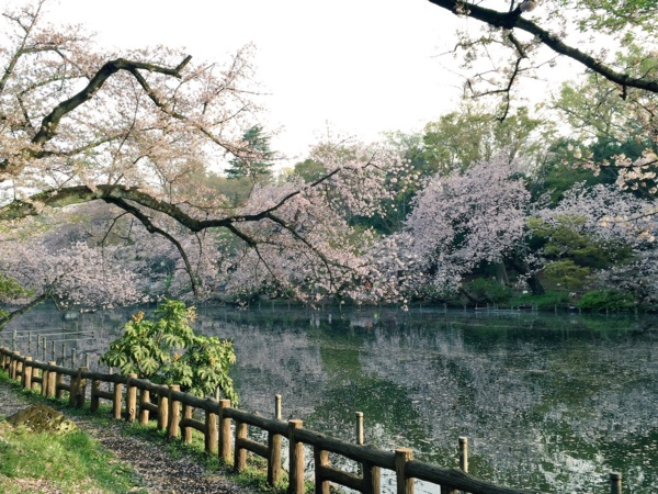 f:id:airgyan:20160410003531j:image f:id:airgyan:20160410003531j:image