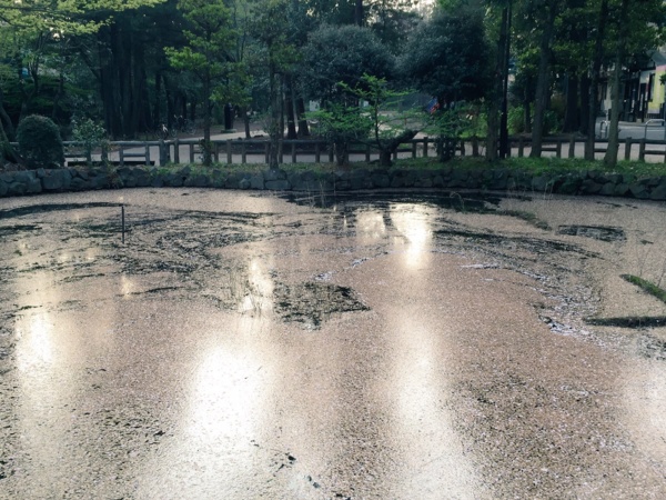 f:id:airgyan:20160410003532j:image f:id:airgyan:20160410003532j:image