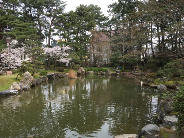 [Travel][桜][Garden]