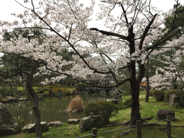 f:id:airgyan:20160417153354j:image f:id:airgyan:20160417153354j:image