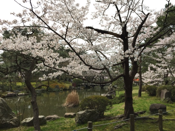 [Travel][桜][Garden]