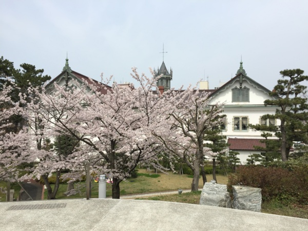 [Travel][桜][Park]