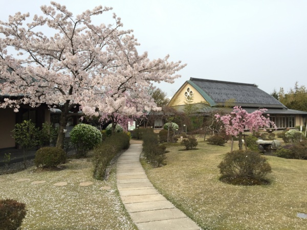 [Travel][桜][Garden]