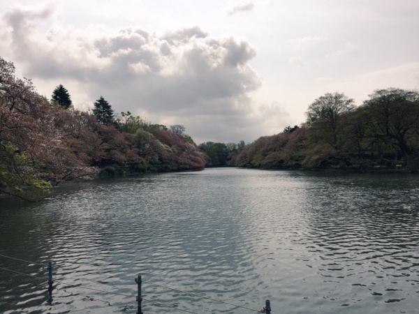 f:id:airgyan:20160417153524j:image f:id:airgyan:20160417153524j:image