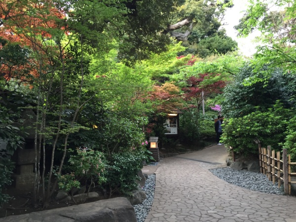 f:id:airgyan:20160417153541j:image