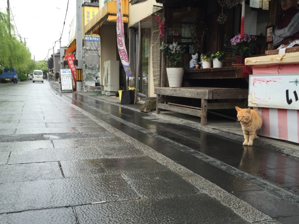 f:id:airgyan:20160429205506j:image f:id:airgyan:20160429205506j:image