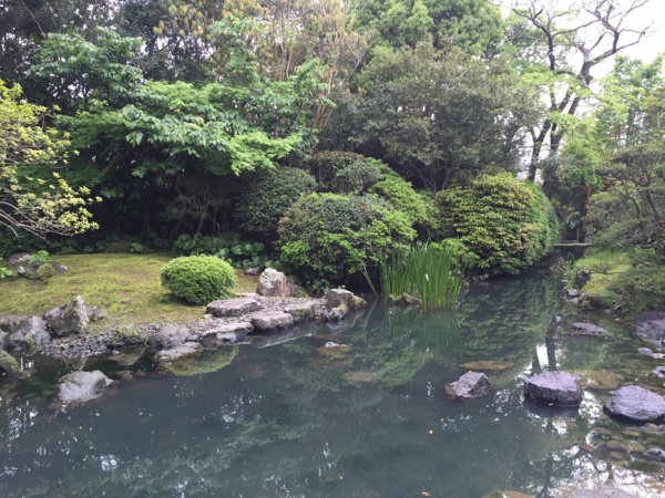 f:id:airgyan:20160429205516j:image f:id:airgyan:20160429205516j:image