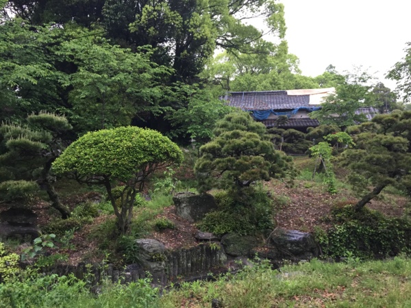 f:id:airgyan:20160429205540j:image f:id:airgyan:20160429205540j:image