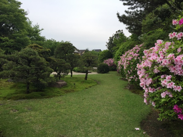 f:id:airgyan:20160429205613j:image f:id:airgyan:20160429205613j:image