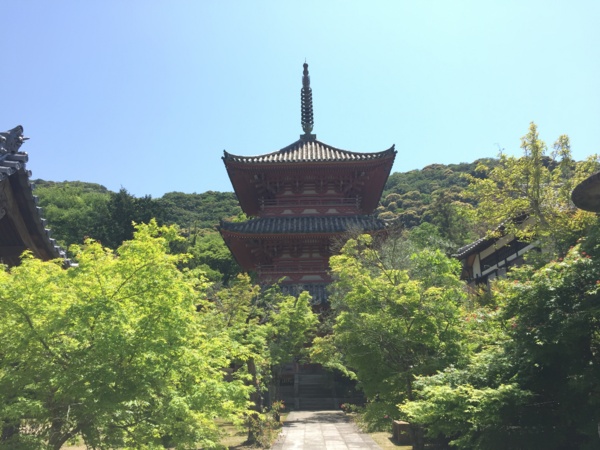 f:id:airgyan:20160505221748j:image f:id:airgyan:20160505221748j:image