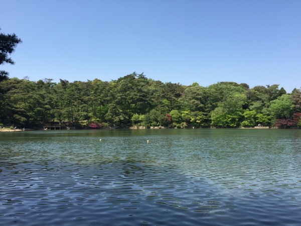 f:id:airgyan:20160505221810j:image f:id:airgyan:20160505221810j:image