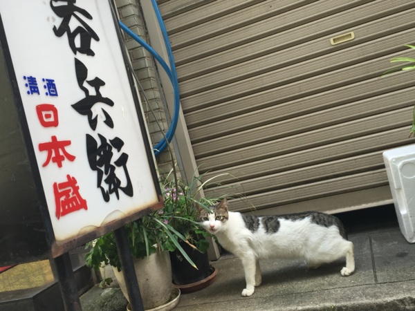 f:id:airgyan:20160505221818j:image f:id:airgyan:20160505221818j:image