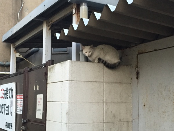 f:id:airgyan:20160505221843j:image f:id:airgyan:20160505221843j:image