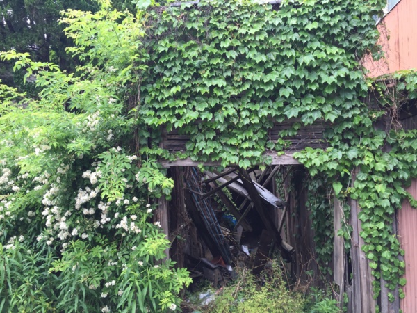 f:id:airgyan:20160507205220j:image