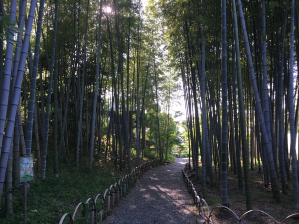 [東海道][Garden]