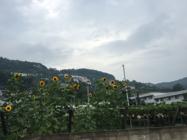 f:id:airgyan:20160718164536j:image