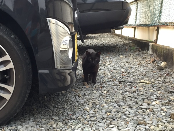 f:id:airgyan:20160718164538j:image