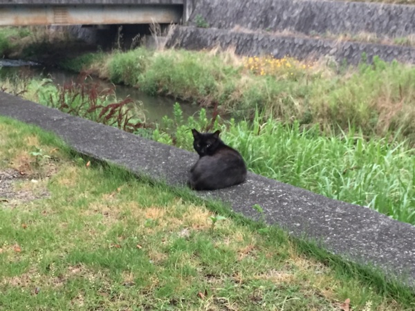 f:id:airgyan:20160718164556j:image