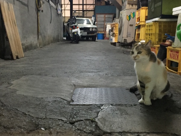 f:id:airgyan:20160718165400j:image