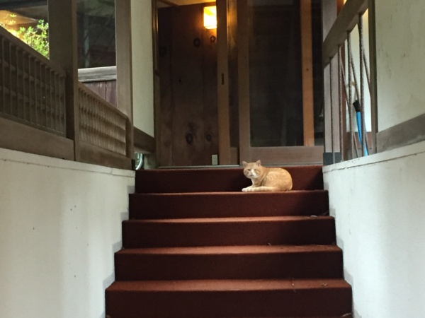 f:id:airgyan:20160828002432j:image f:id:airgyan:20160828002432j:image