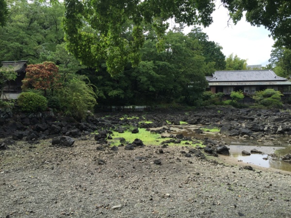 [浜松静岡][Garden]